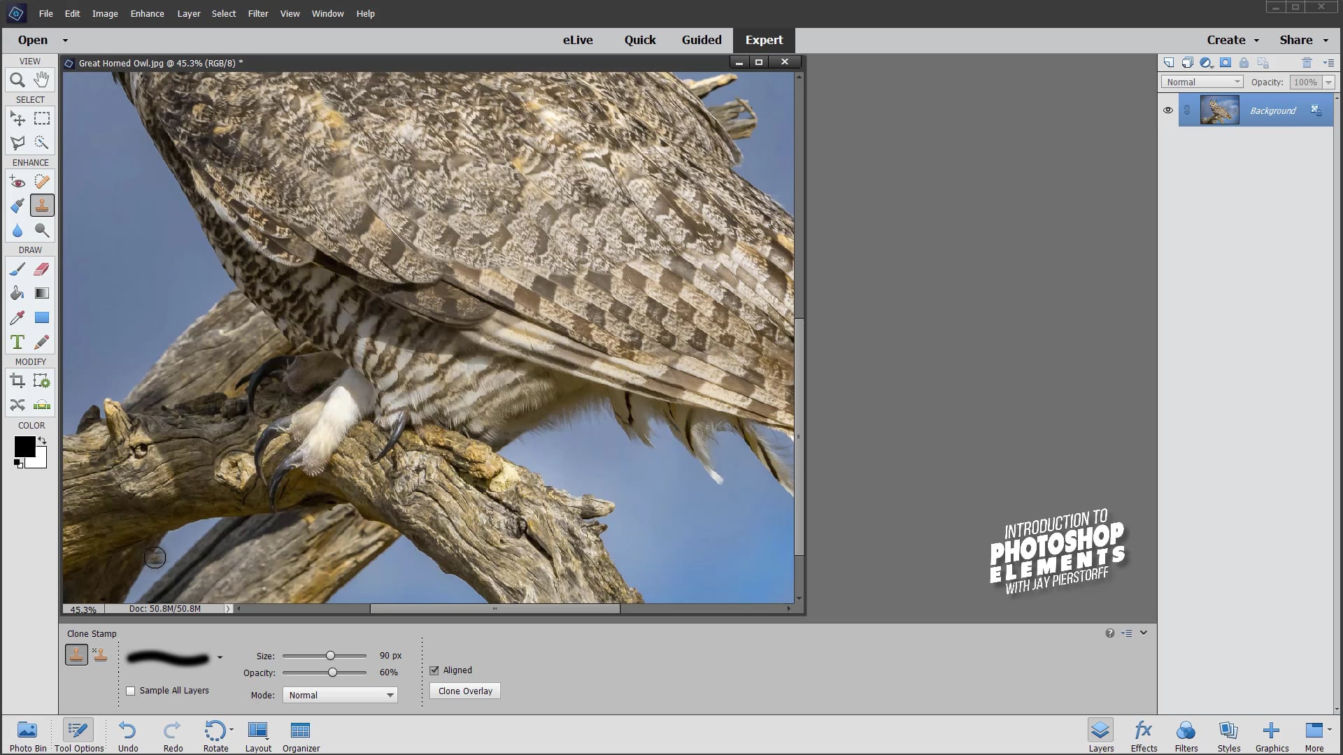 PSE-18 - The Clone Stamp Tool PSE