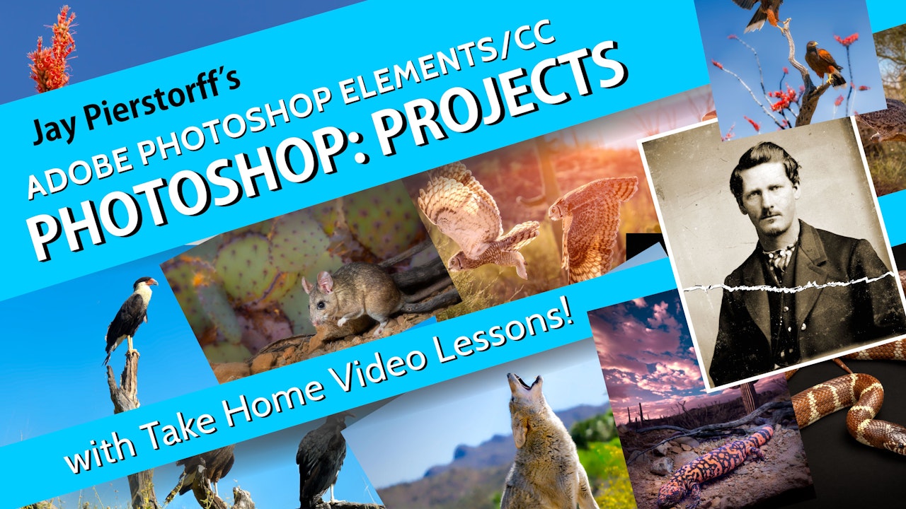 Photoshop Elements: Projects