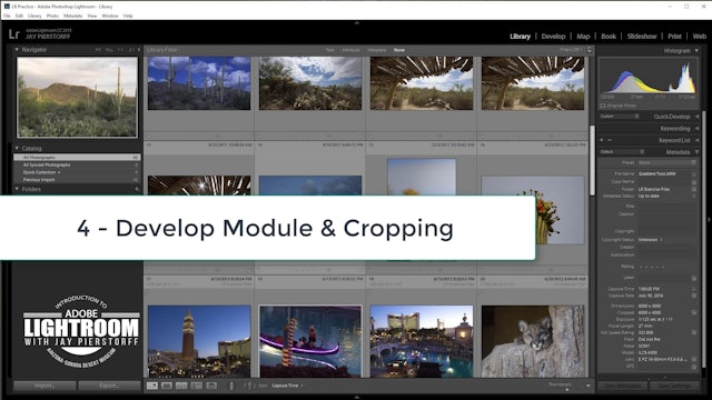 LR-4- Develop Module and Cropping