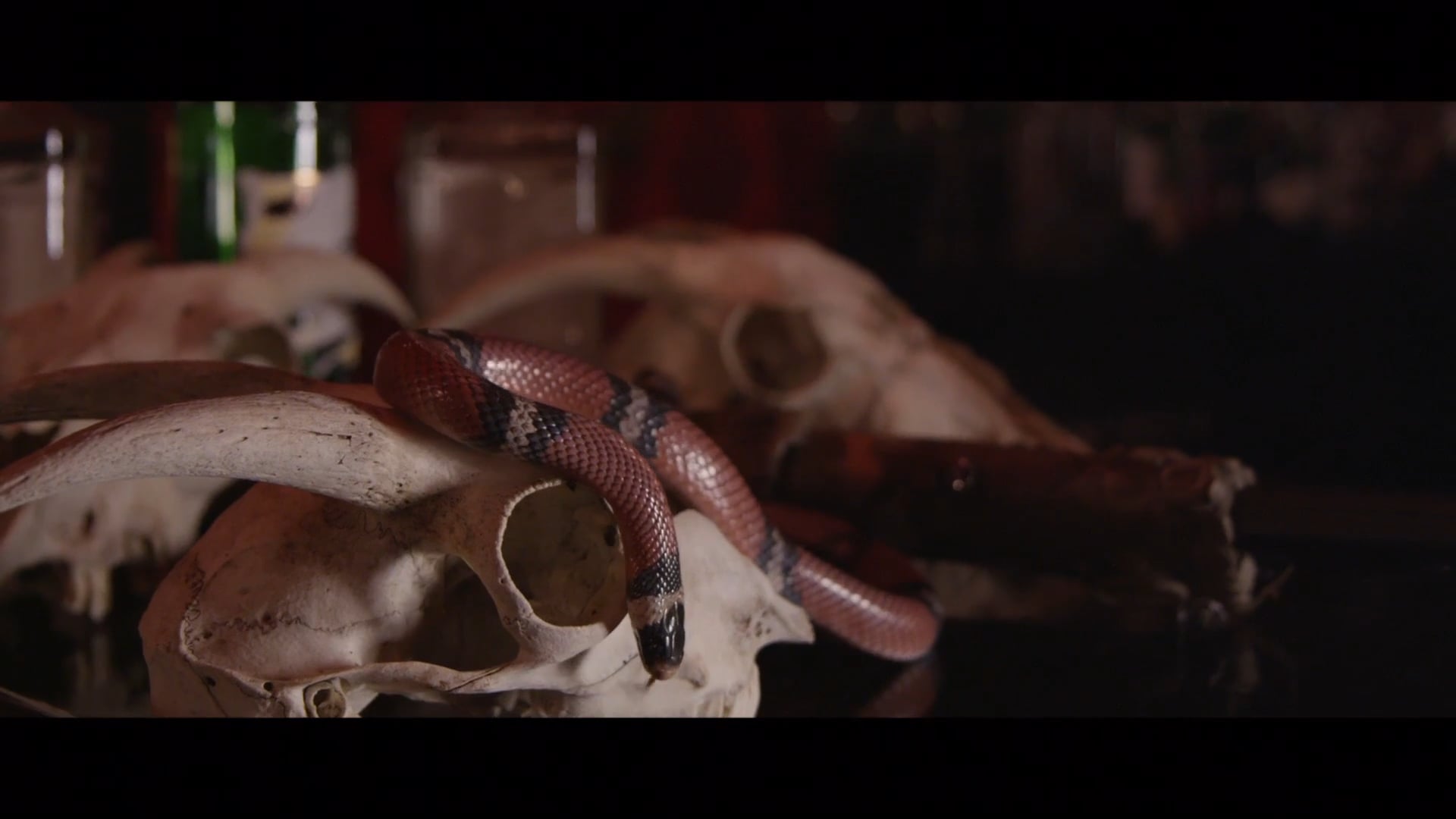 Music Video "Black Lipstick Kiss" - S&M Sally