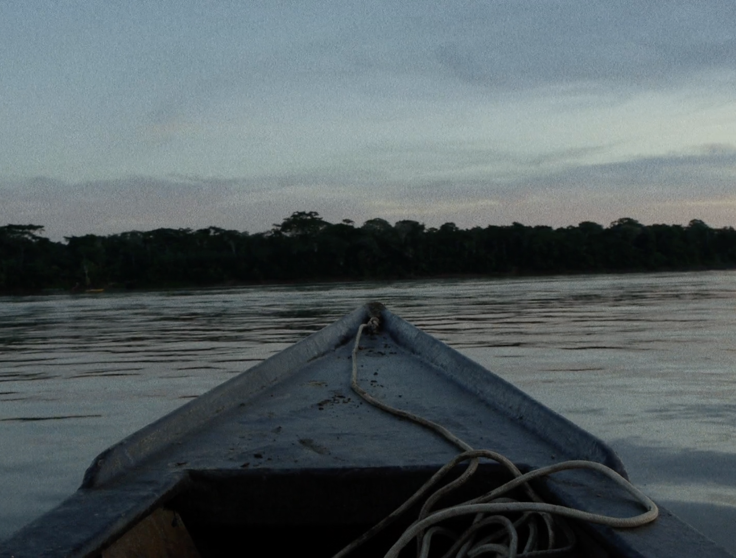 Voices in the Silence