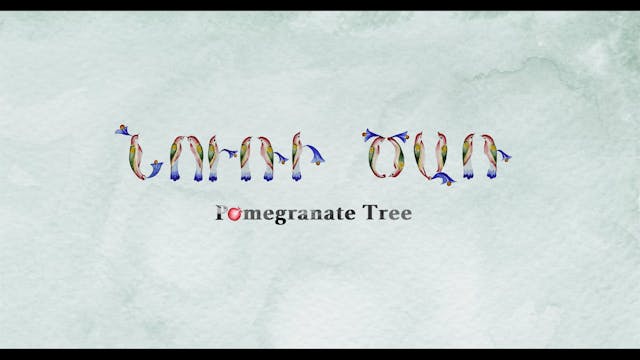 Pomegranate Tree