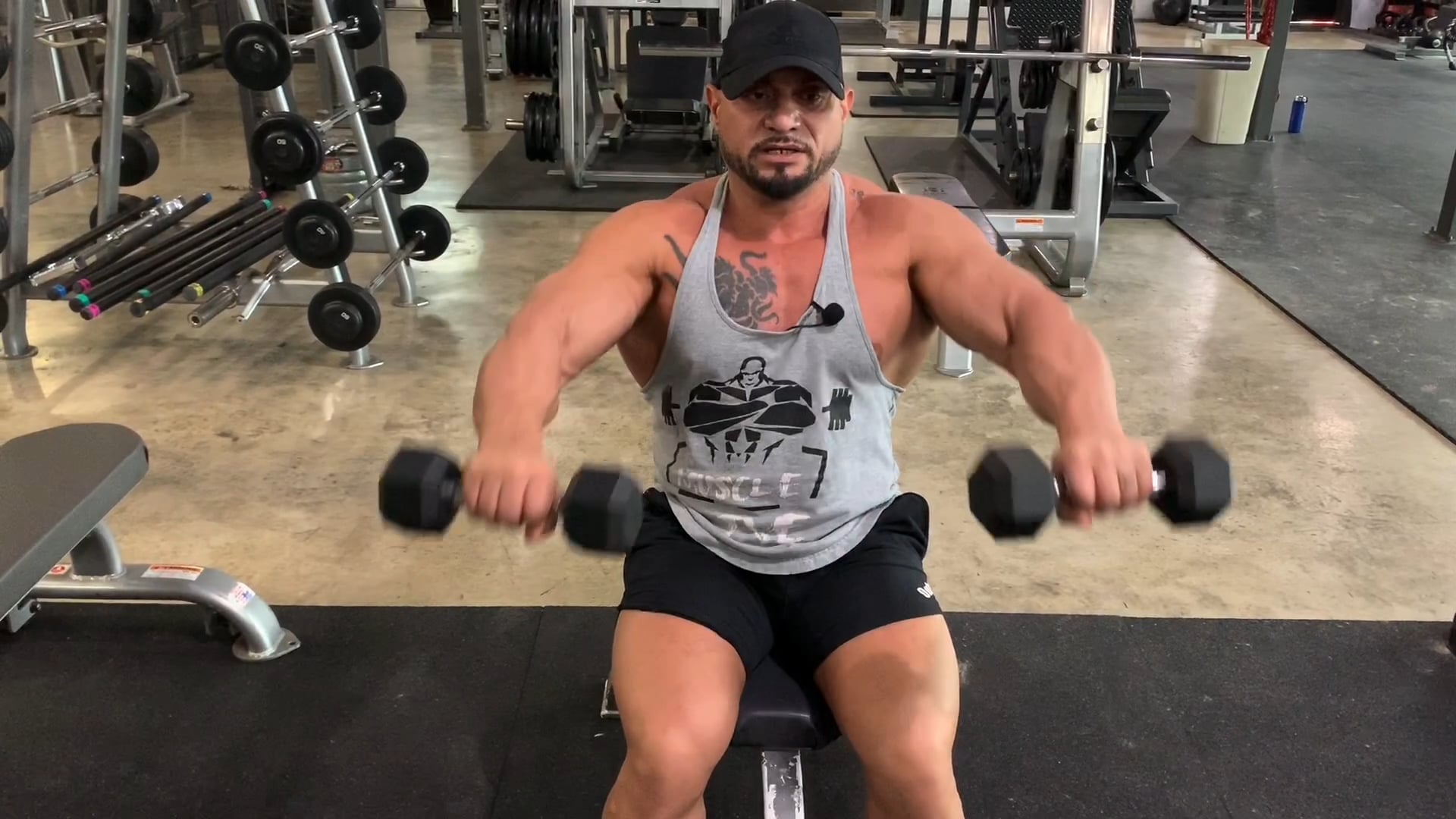 Shoulders: Seated Front Raises 