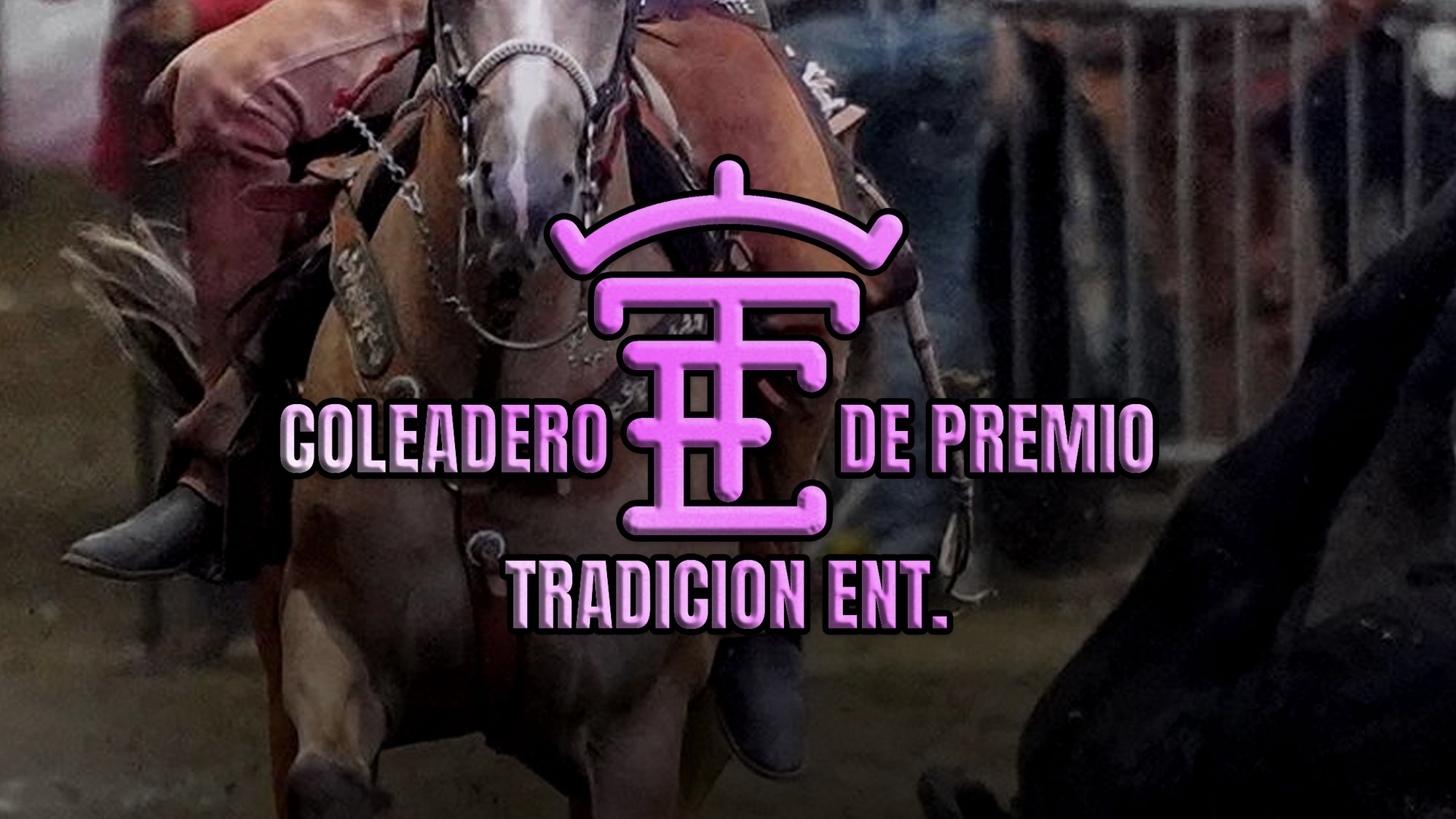 Tradicion Ent.: Coleadero de Premio - 02/15/2026, 02:33:44