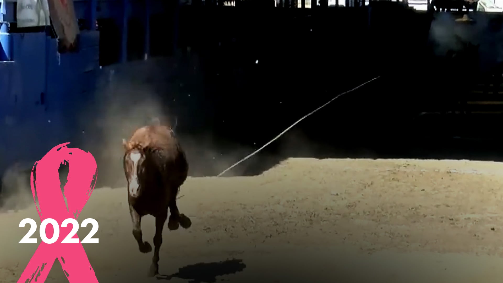 Pialadero de Estrellas (Ronda 2)