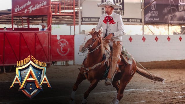 Fase 1 - Cricuito Profesional de Cala...