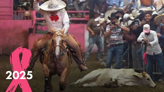 Coleadero de Estrellas (Fase 2)