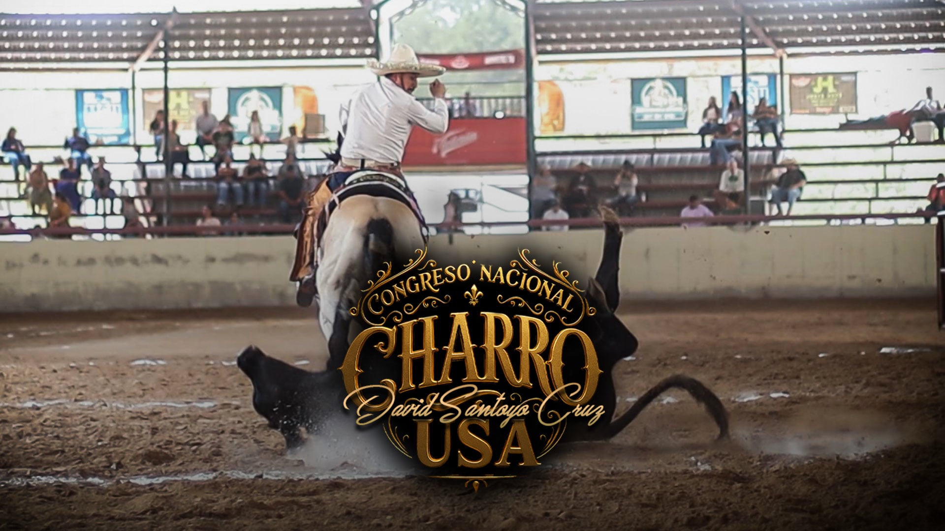 Charreada 8