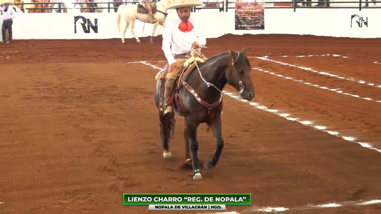Charreada 4