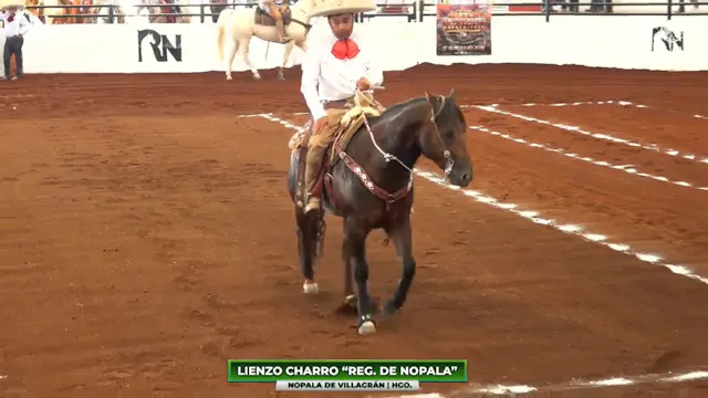 Charreada 4