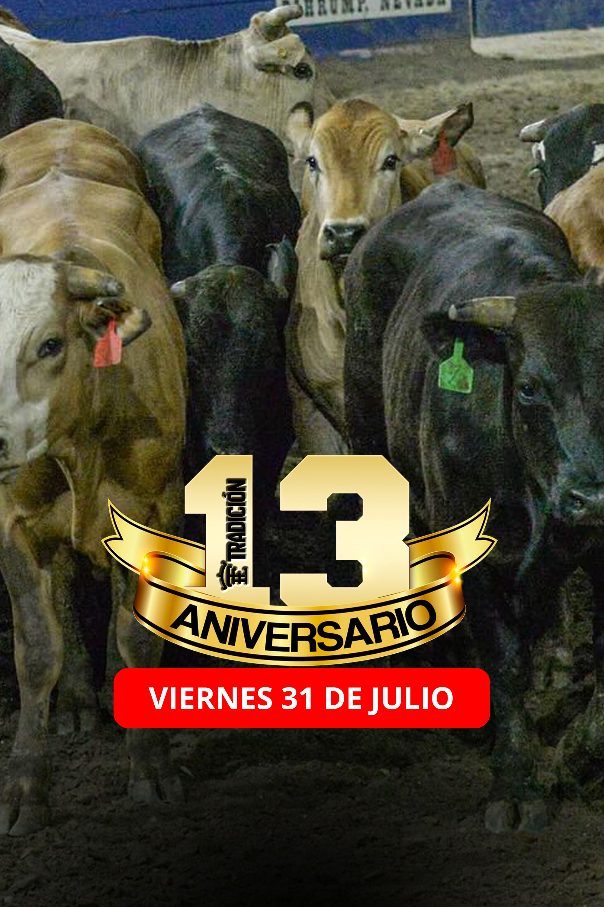Tradicion Ent.: Coleadero de Premio