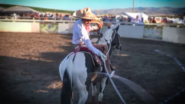 Charreada