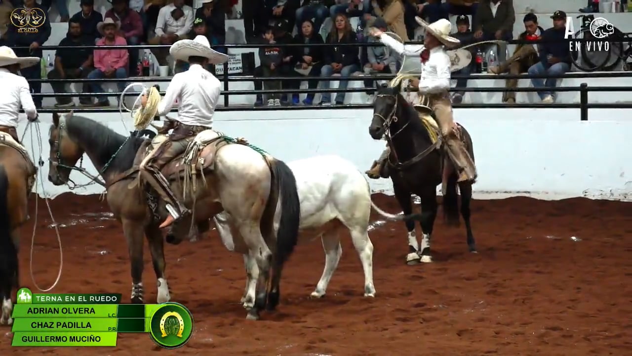 Charreada 5