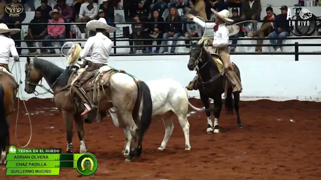 Charreada 5