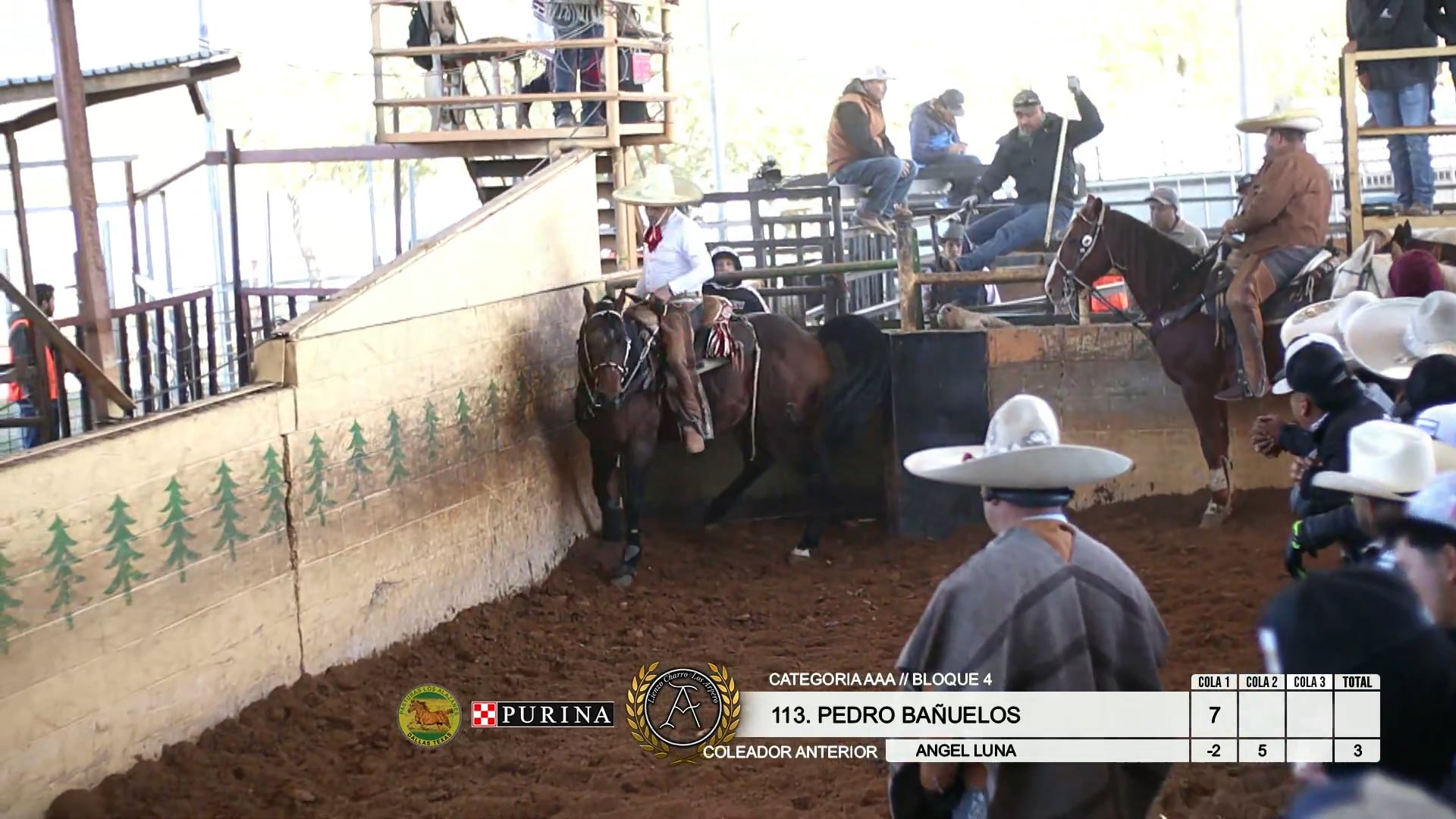 Coleadero AAA (Bloque 4)