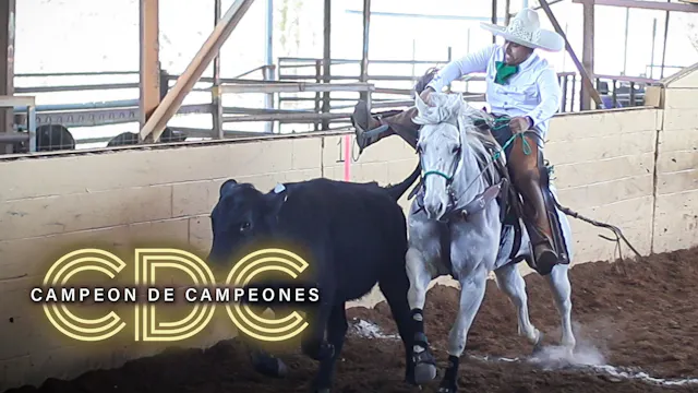 Categoria AA+ (Bloque 2 Y Desempates)