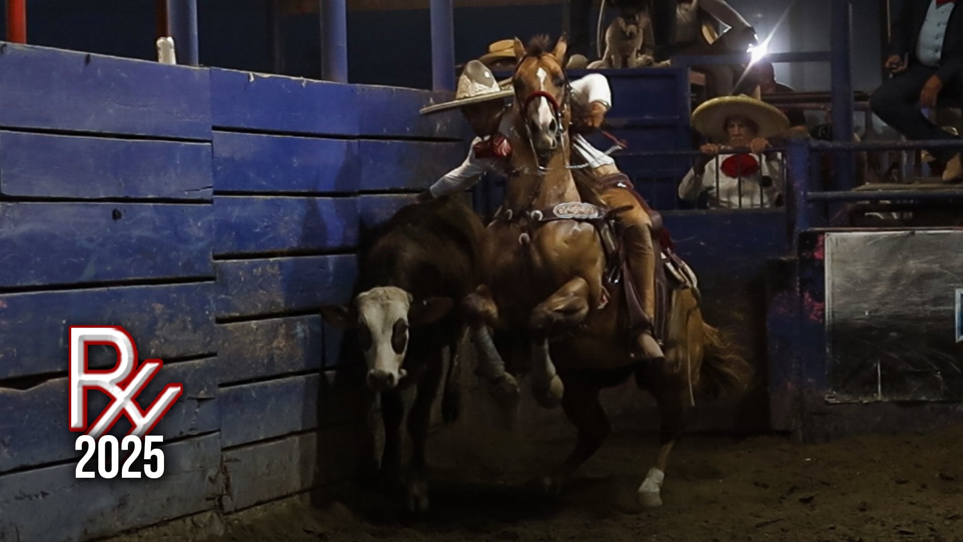 Coleadero de Estrellas