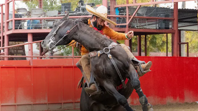 Charreada 2