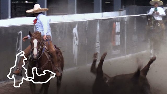 Viernes 6 de Febrero