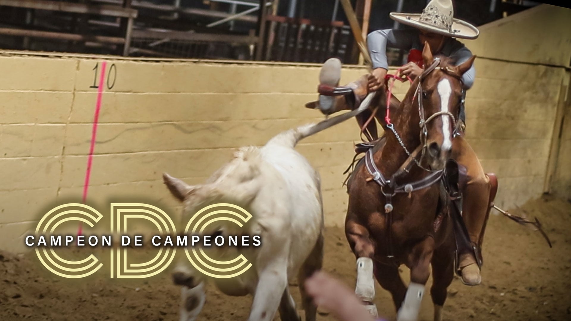 Categoria AA (Bloque 4)