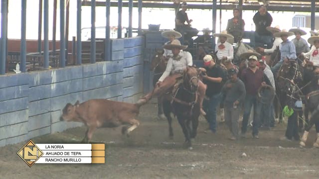 Charreada 1