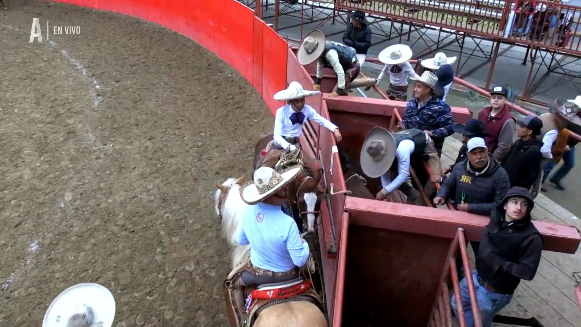 Charreada 5