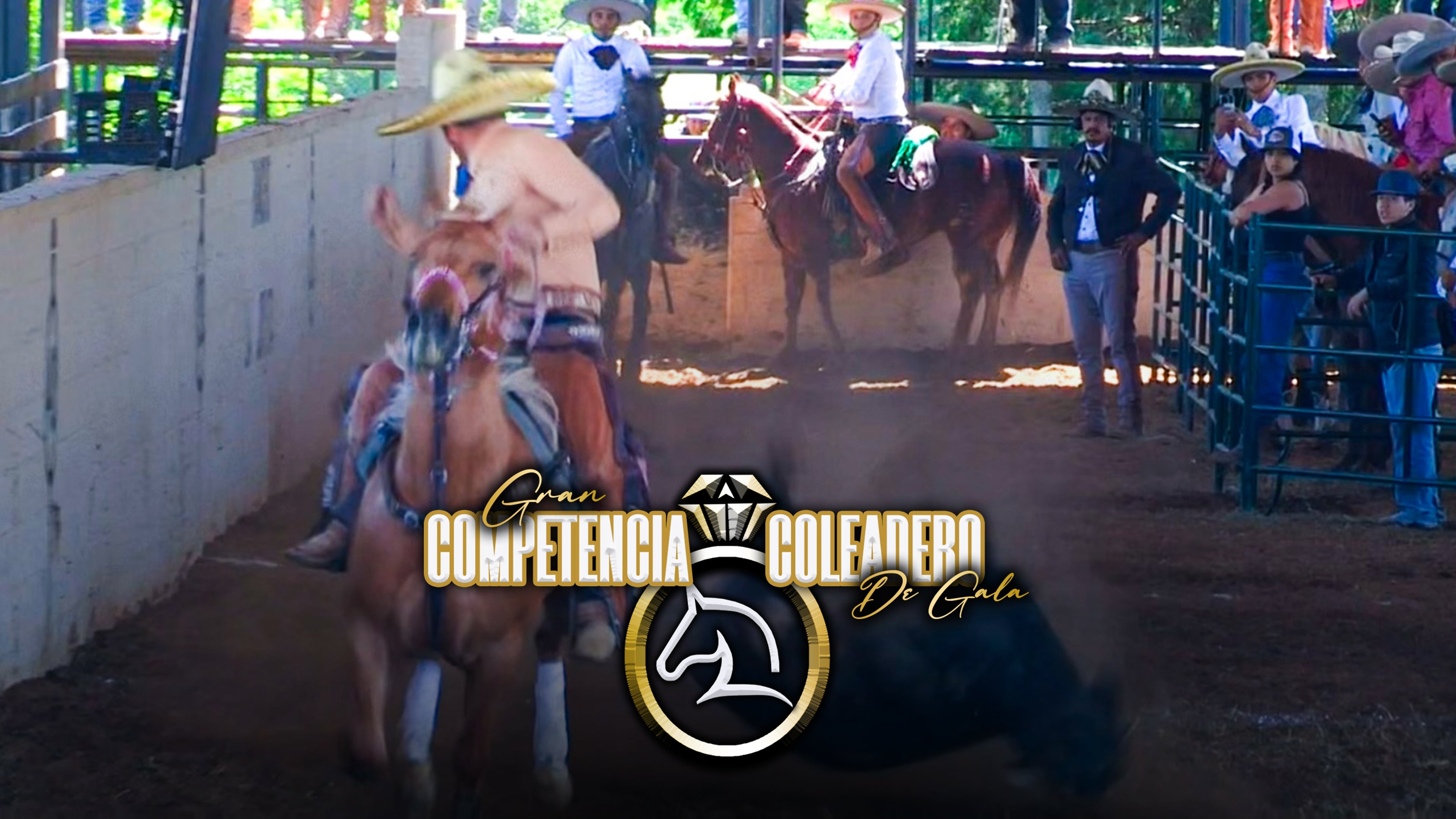 Rancho La Joyita: Coleadero de Gala