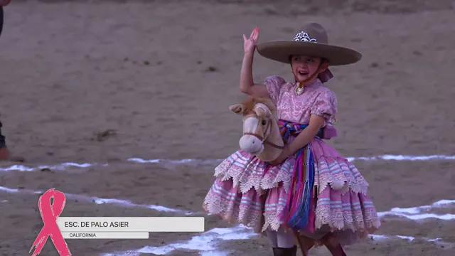 Feria de Escaramuza (Domingo)