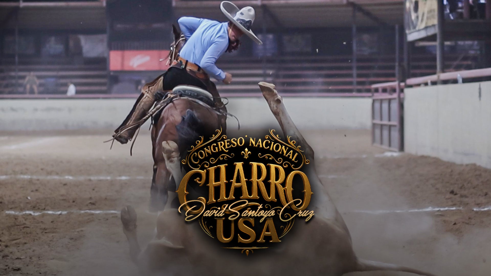 Coleadero Nacional (Fase 2)