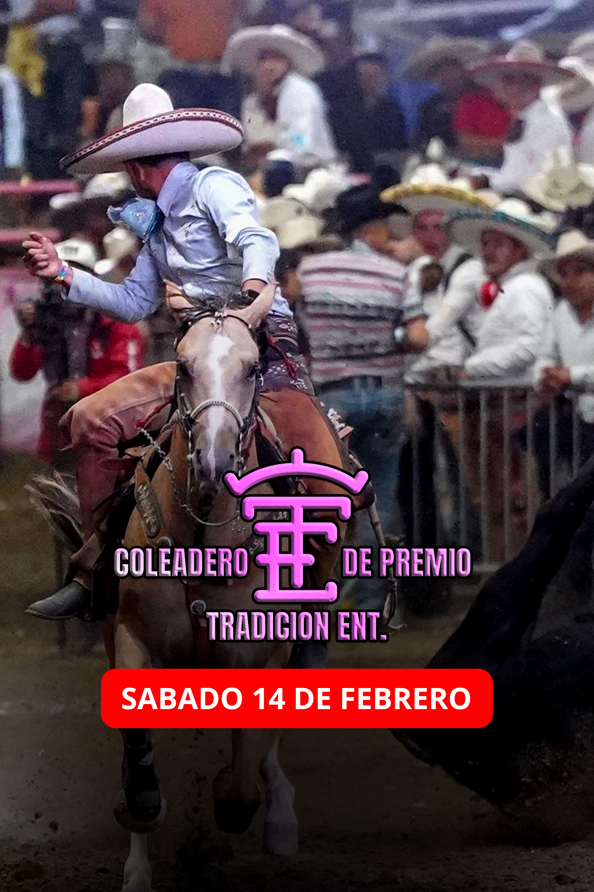 Tradicion Ent.: Coleadero de Premio