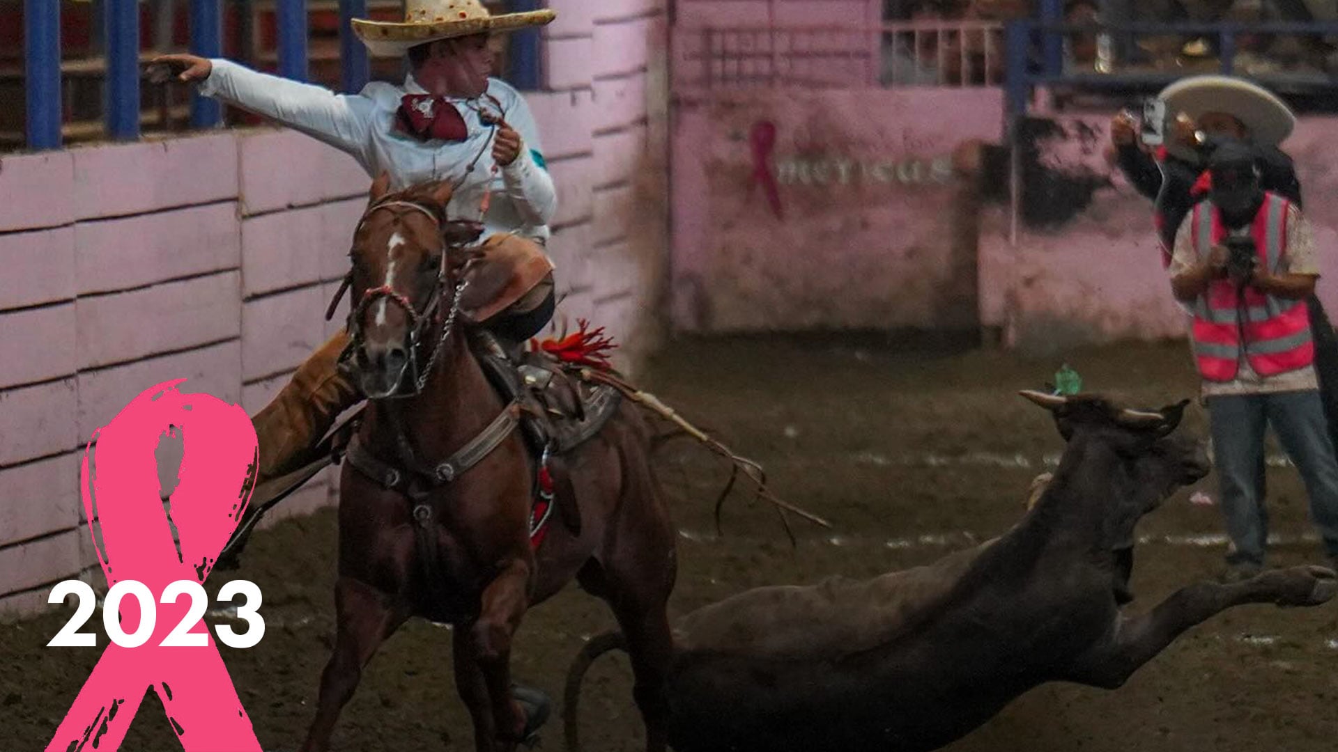 Coleadero de Estrellas