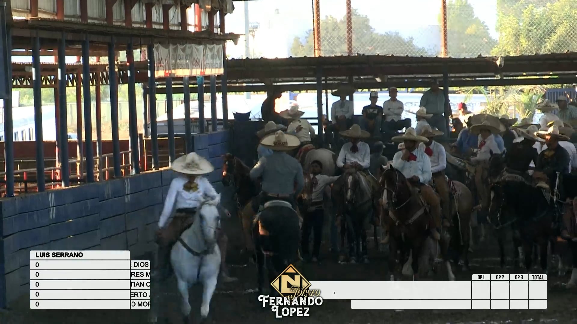 Coleadero por Equipos