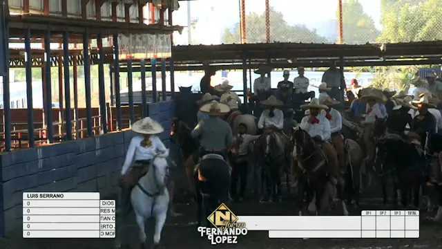 Coleadero por Equipos