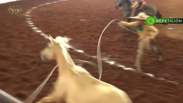 Charreada 6