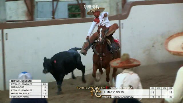 Coleadero a la Lola