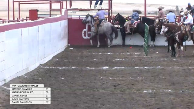 Coleadero 40+