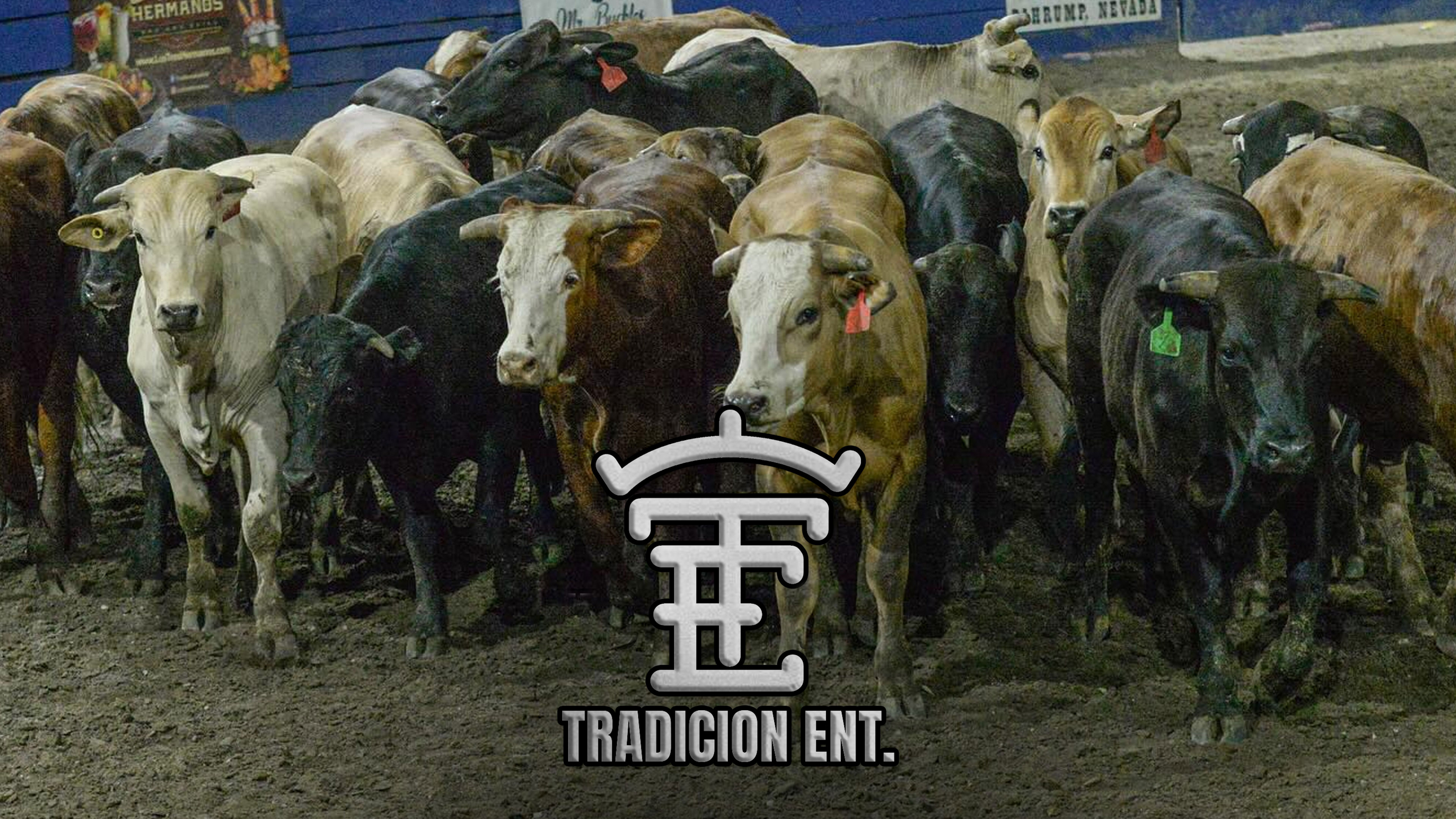 Tradicion Entertainment