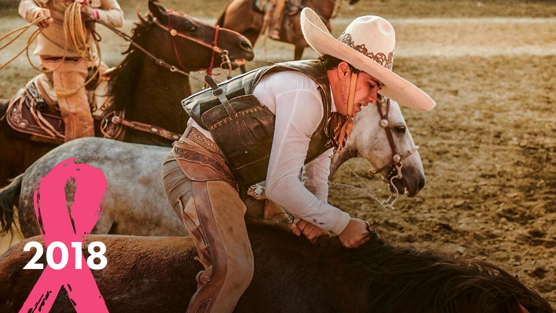 Campeones Individuales