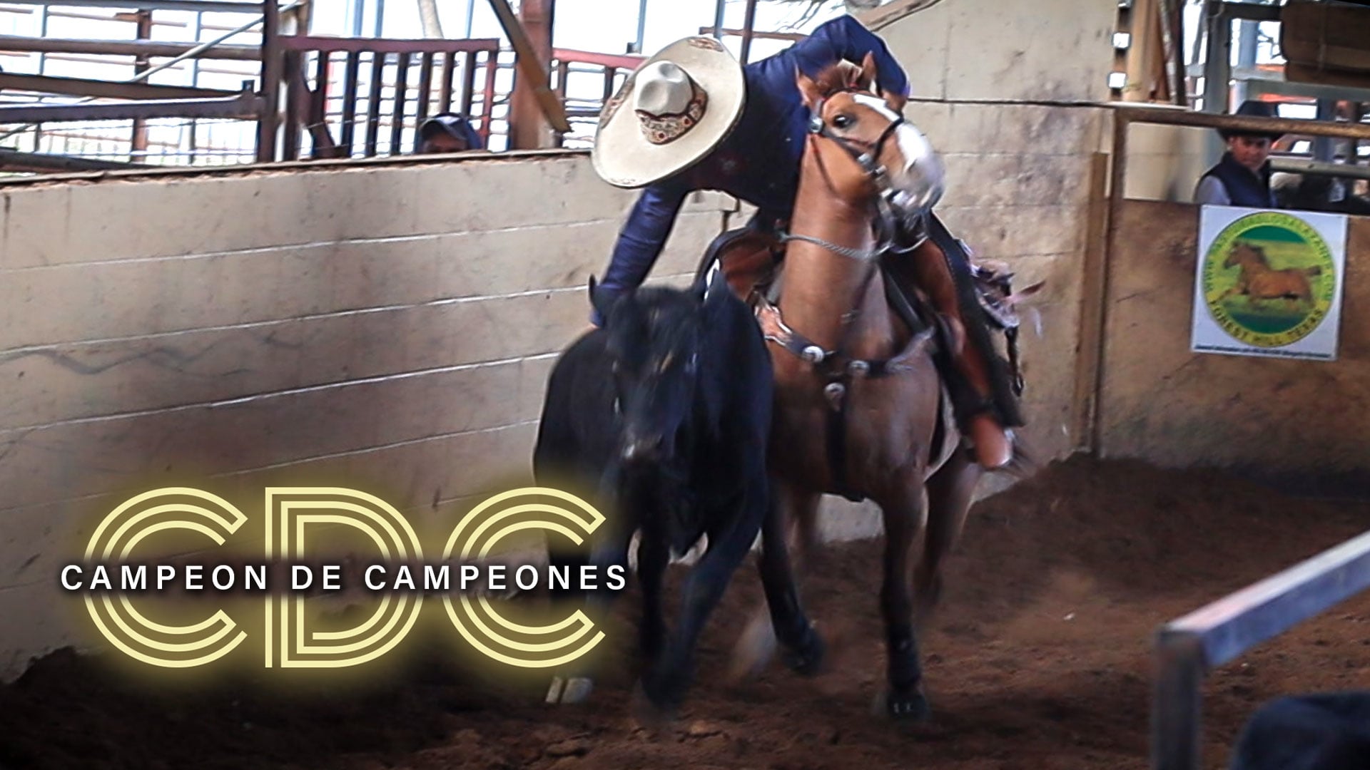 Jefe de Jefes 40+ (Bloque 2)