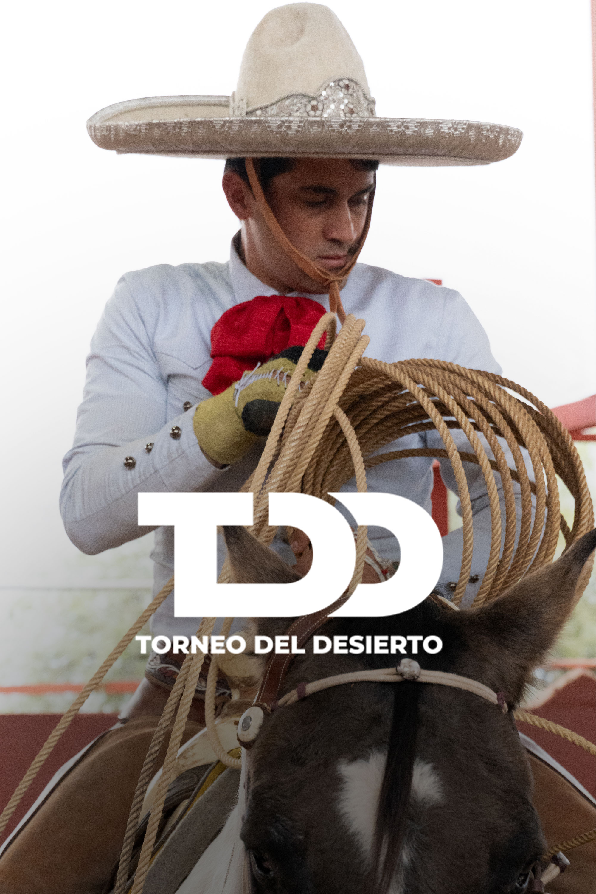 Torneo del Desierto