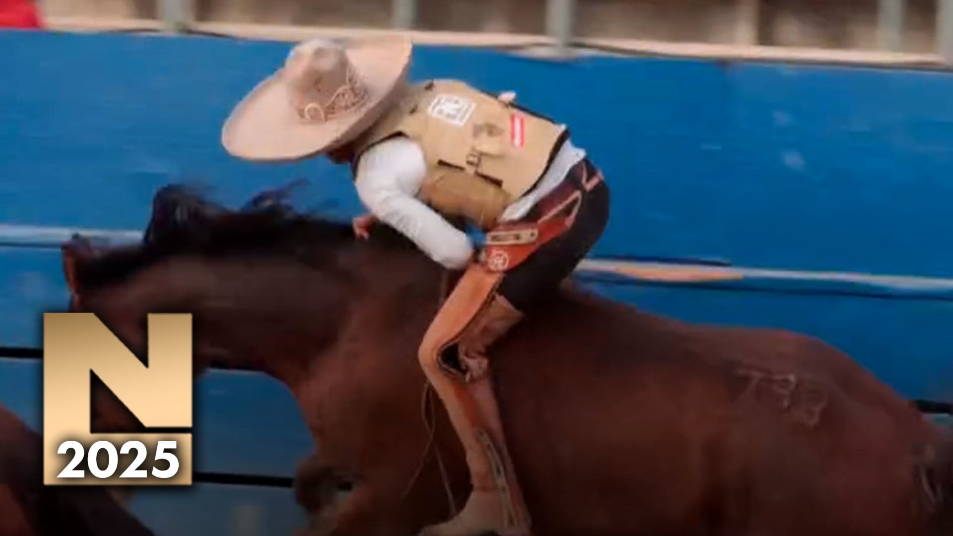 Campeones Individuales