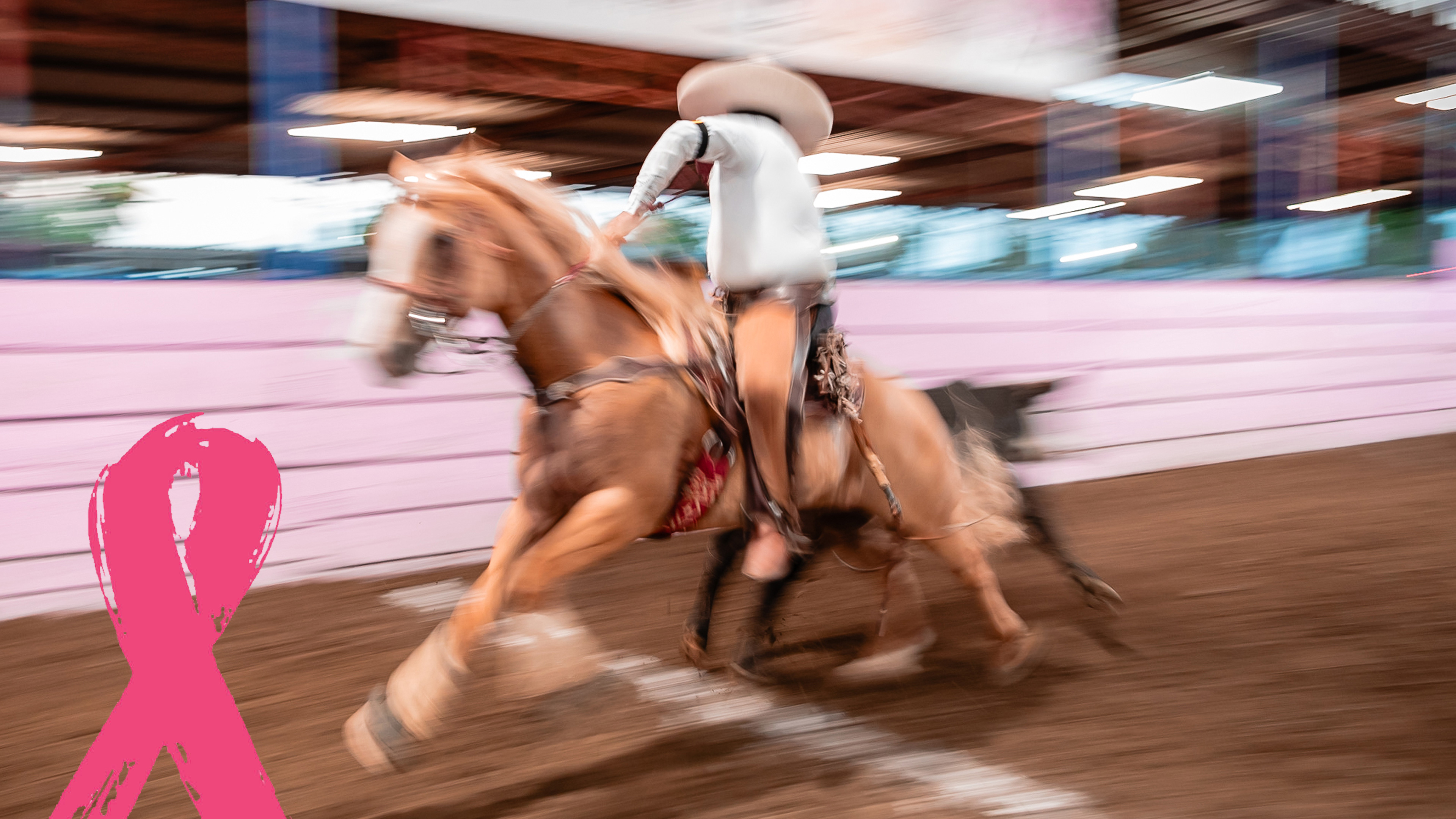 Coleadero de Estrellas (Fase 1)