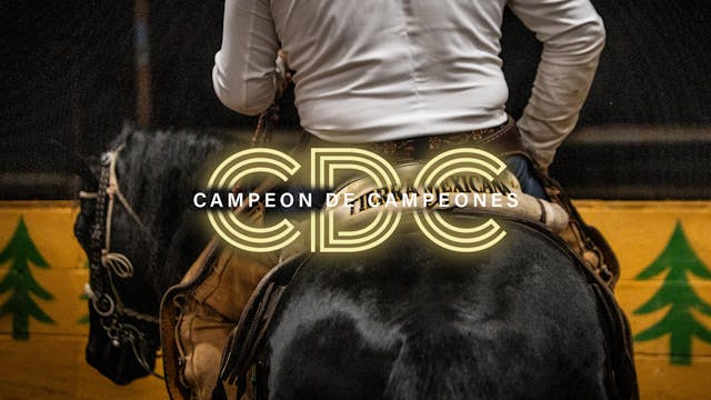 Caladero de Patrones