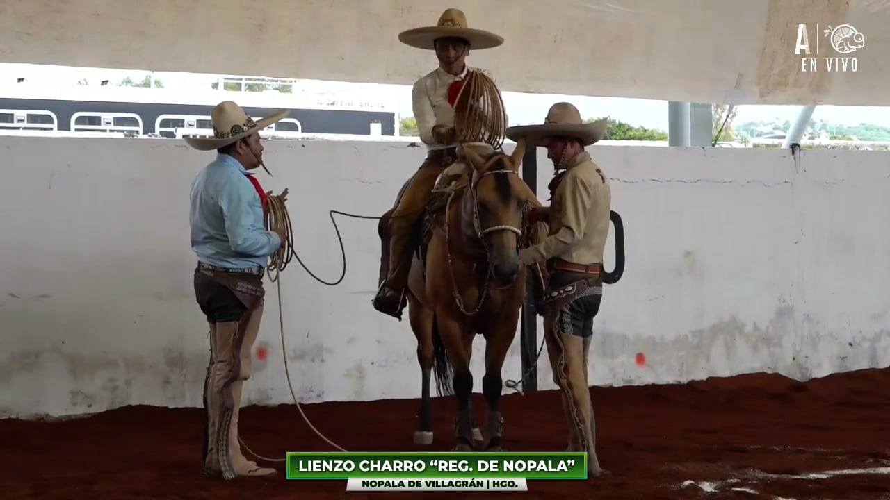 Charreada 2