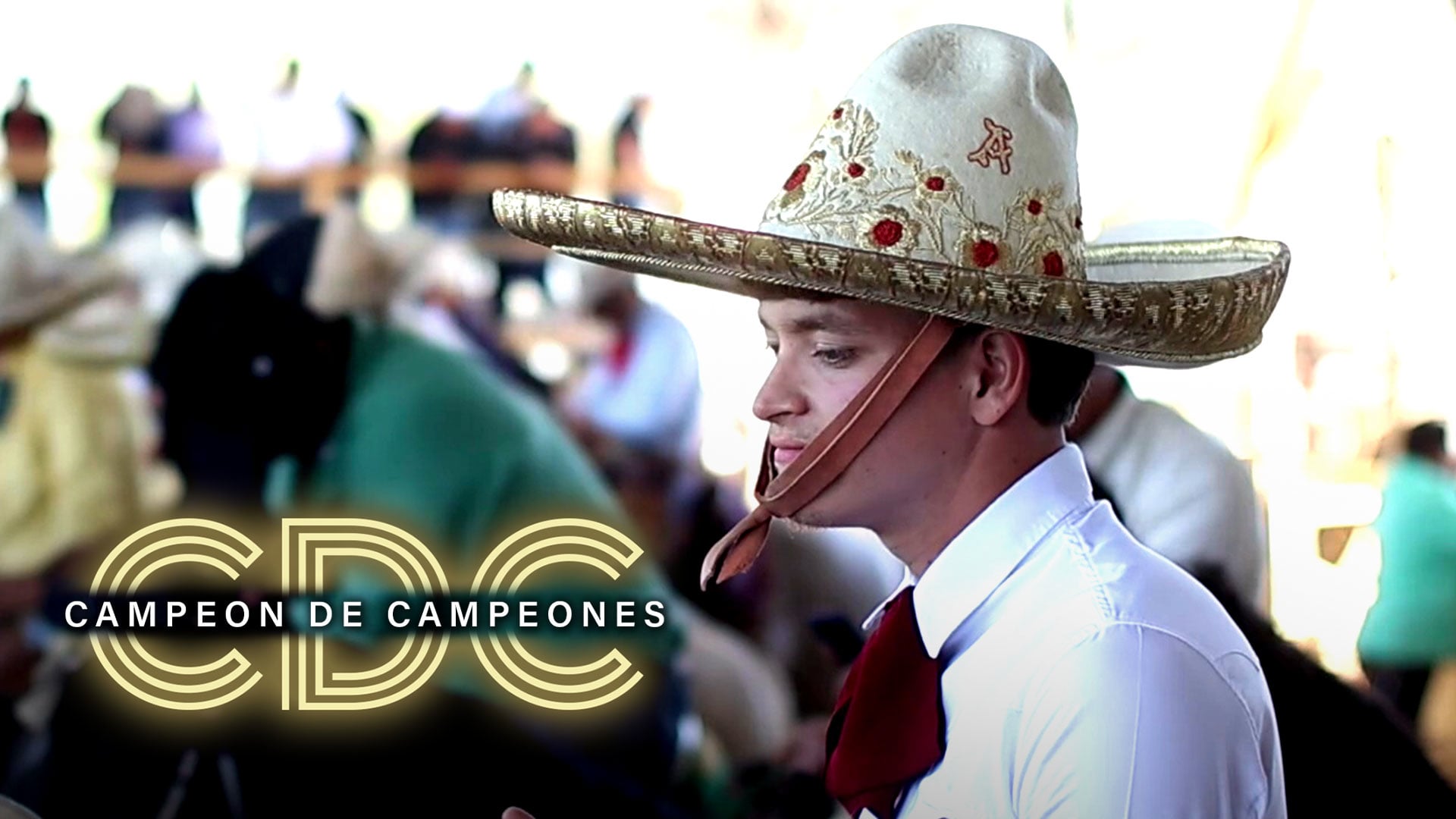 Categoria AA+ (Bloque 1)