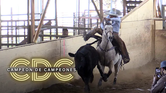 Jefe de Jefes 40+ (Bloque 1)