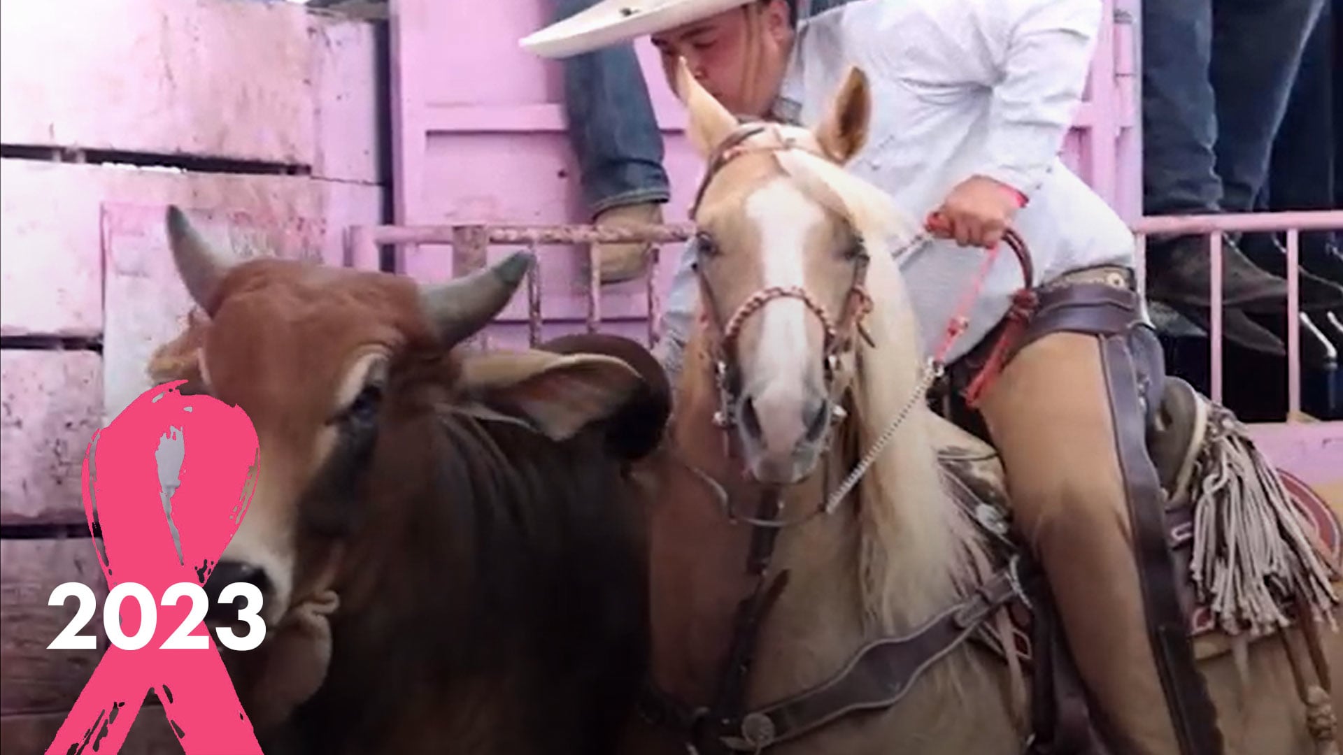 Final Coleadero de Estrellas