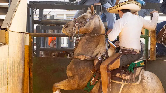 Charreada 3