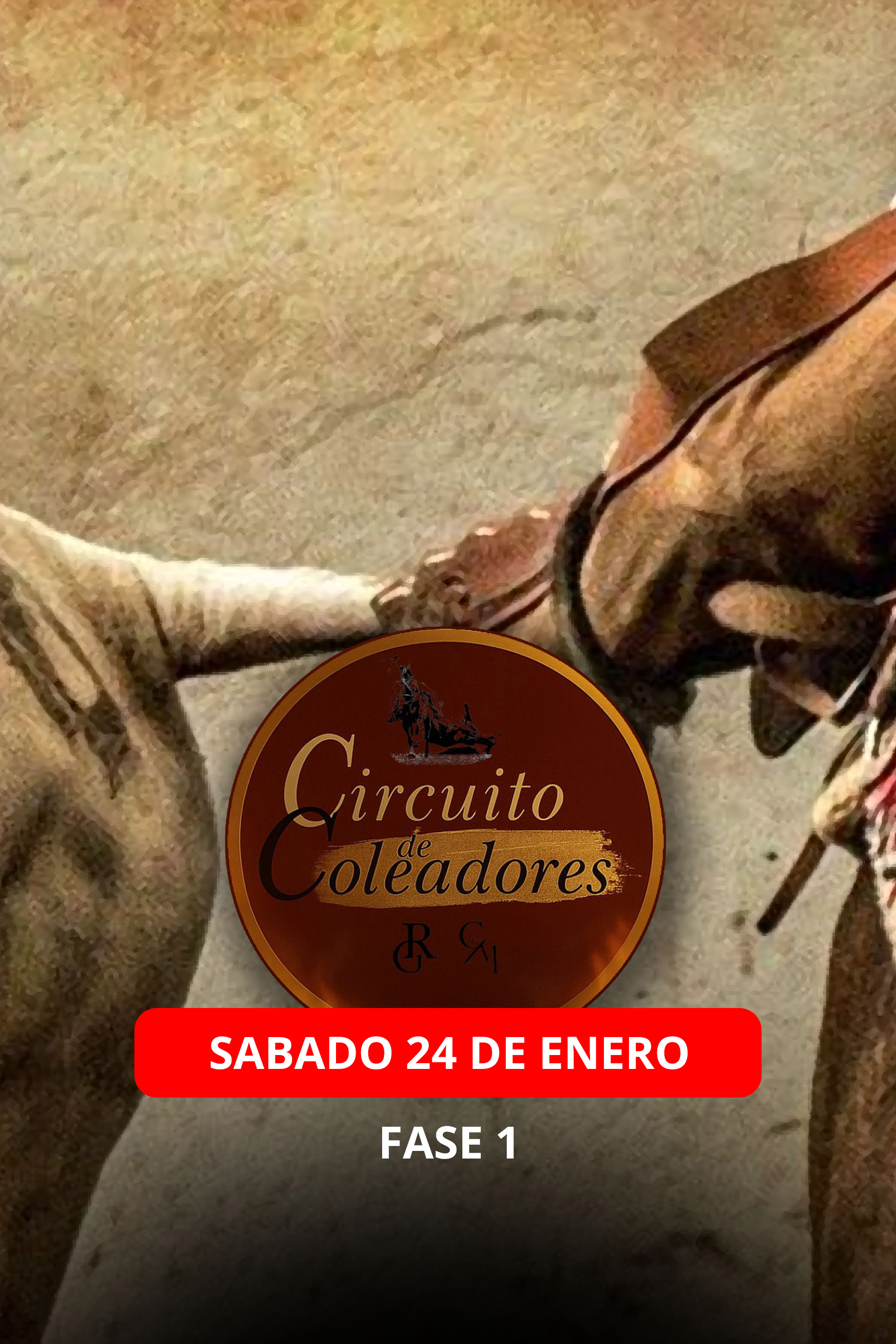 Circuito de Coleadores