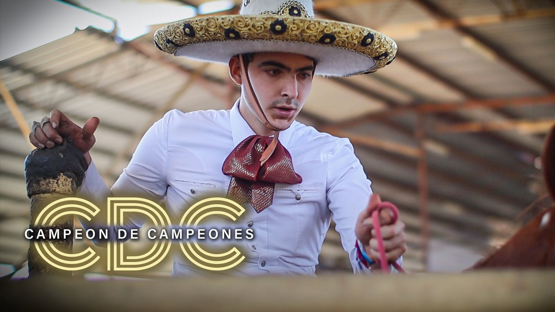 Categoria AAA (Bloque 4)